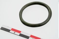 Foto von Bronzering (NHMW-PRAE-024148)